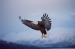 BE5018 Hanging In The Wind<br>