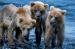 MB4015  Mischievous Triplets<br>
